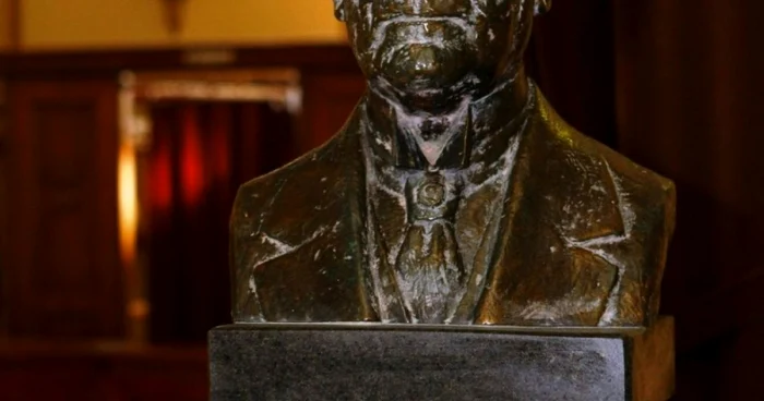 trandafir djuvara bust