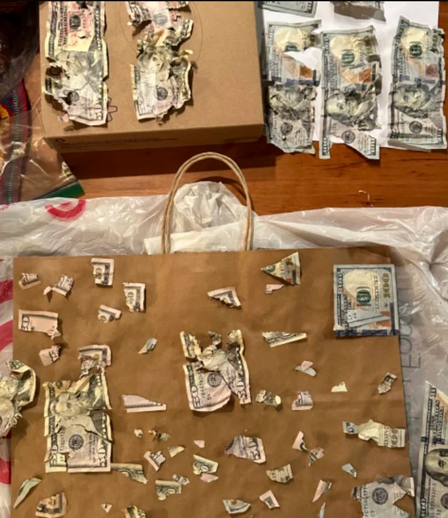 Animalul a mestecat toți banii din plic (Foto: Instagram)