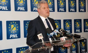 catalin predoiu jpeg