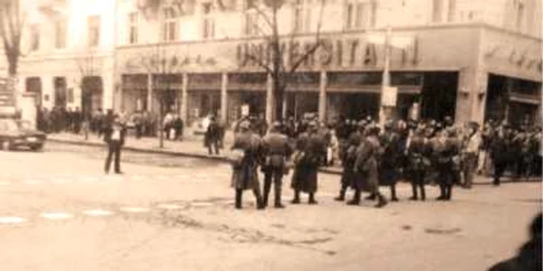 Cu pieptul dezvelit, în faţa militarilor,  Călin Nemeş striga pentru libertate  