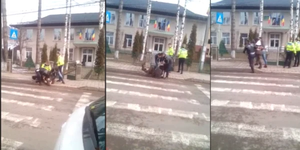 colaj modlovita suceava 