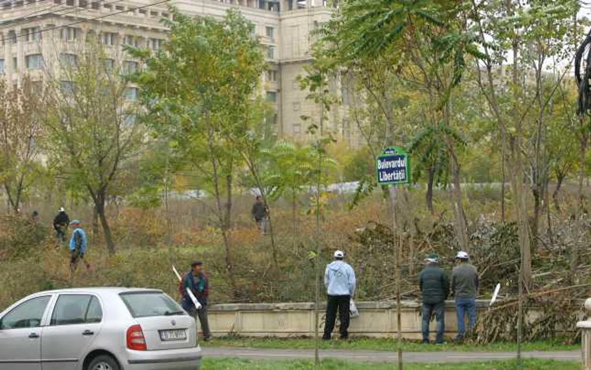 Protestatarii au urinat pe spaţiul public