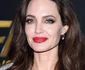 Angelina Jolie png