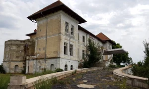 Palatul de la Țigănești, ruină cu ștaif FOTO: Primăria comunei Munteni 