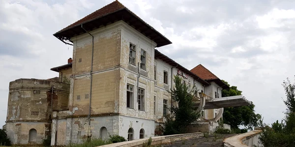 Palatul de la Țigănești, ruină cu ștaif FOTO: Primăria comunei Munteni 