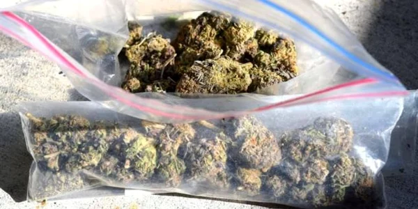cannabis