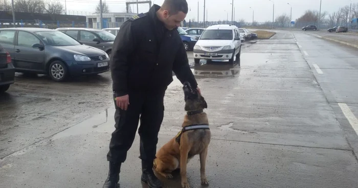 Cainele politist Omu Galati Foto Oana Cernat