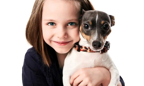 1 65082 original jpg jpeg