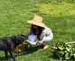 Meghan în grădină în Anglia.