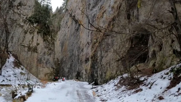 Imagini spectaculoase cu Prăpăstiile Zărneştiului