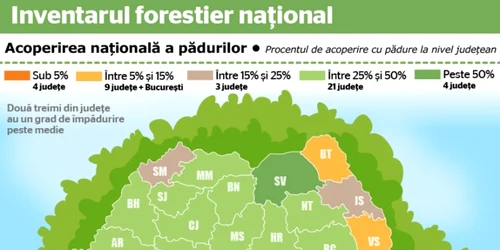 inventarul forestier