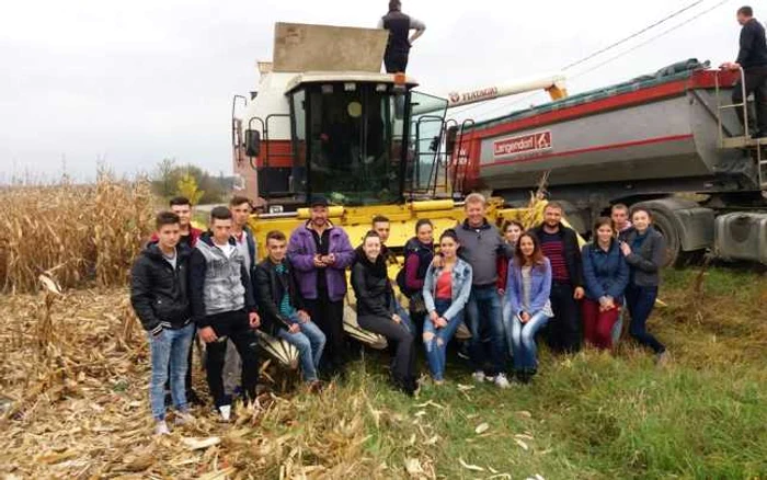 liceu agricol beclean  3