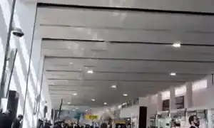 ezgif com crop (1) gif