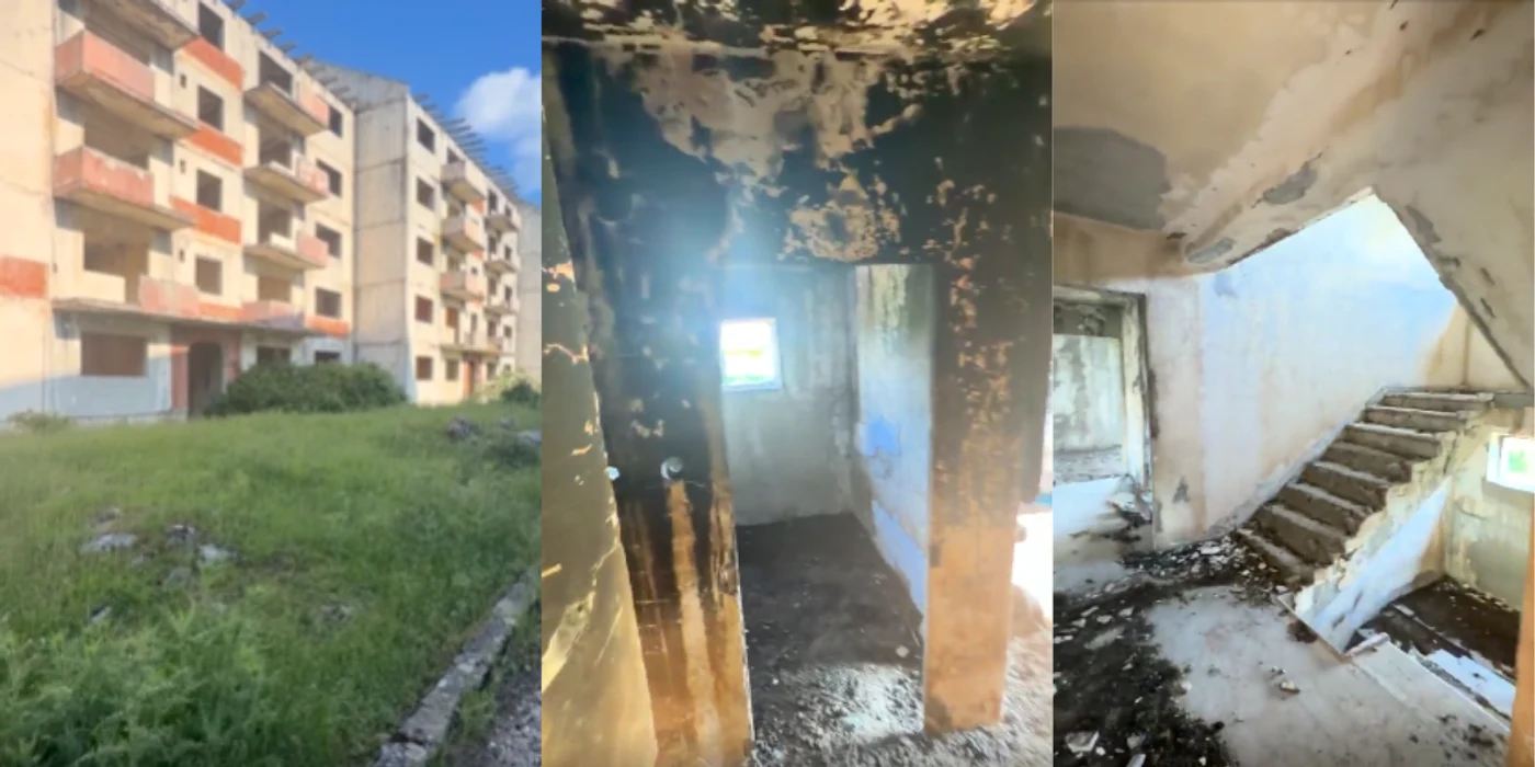 Foto: captură video Reddit
