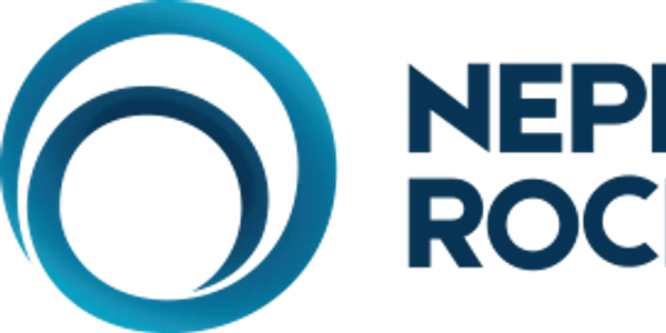 Logo NEPI png