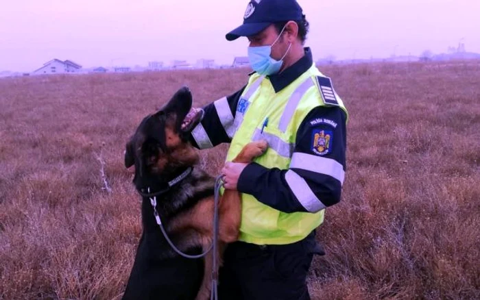 Câinele poliţist TEM a salvat o fetiţă dispărutăFOTO: IPJ Vrancea