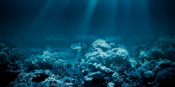 Fundul marii FOTO Shutterstock