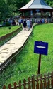 Asistenta TV a purtat, într adevăr, o rochie lungă, însă decoltată și mulată pe corp  jpeg