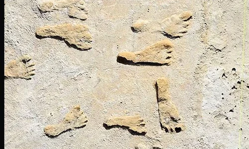 Descoperire importantă pentru istoria umanității, făcută în în Parcul Național White Sands din sudul New Mexico jpeg