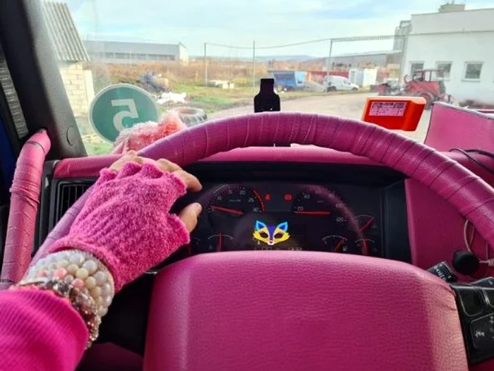Cabina camionului a fost colorată în roz FOTO Instagram/ georgeta.pisy