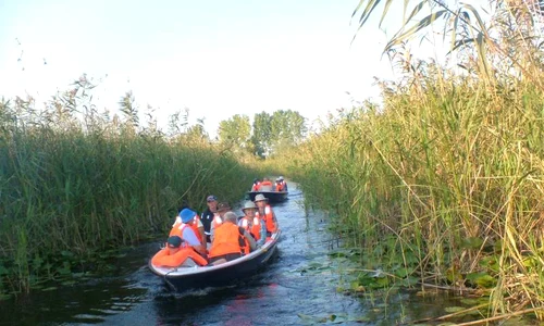 canale salbatice in delta jpeg