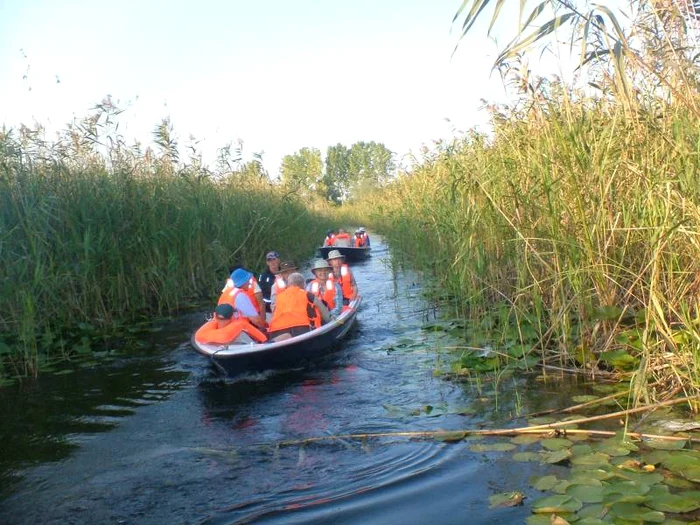 
    Procurorii verifică cum au fost cheltuiți banii europeni alocați pentru decolmatarea canalelor  