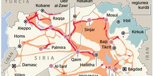 infografie stat islamic