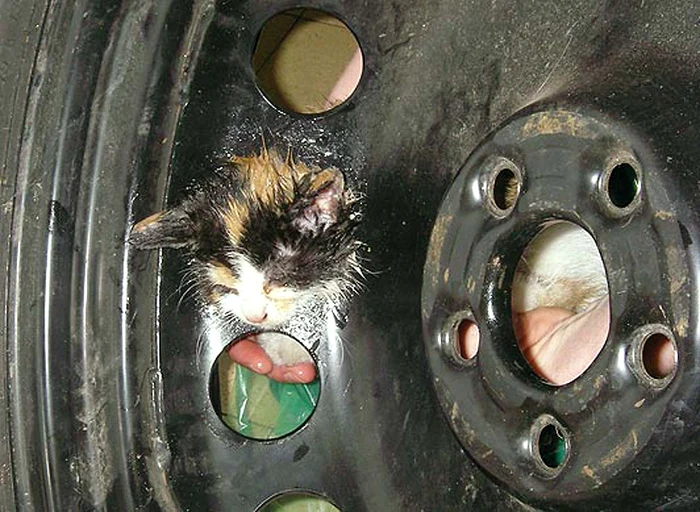 “Auzi, trebuie să intru sau să ies?”