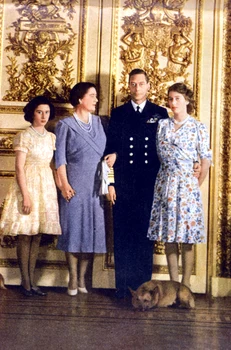 5 profimedia 0633187643 jpg jpeg