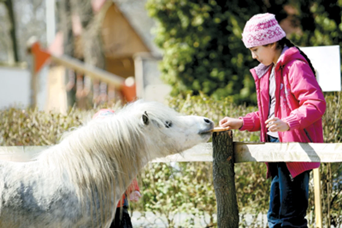 Resita: REGIUNEA PE SCURT / Ghizi de-o şchioapă la Zoo