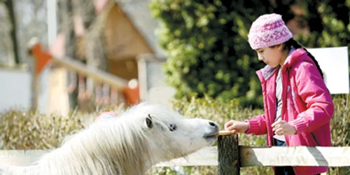 Resita: REGIUNEA PE SCURT / Ghizi de-o şchioapă la Zoo