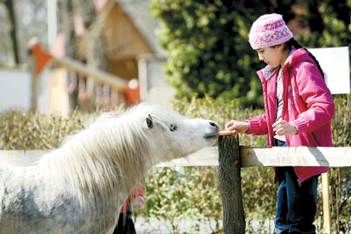 Resita: REGIUNEA PE SCURT / Ghizi de-o şchioapă la Zoo