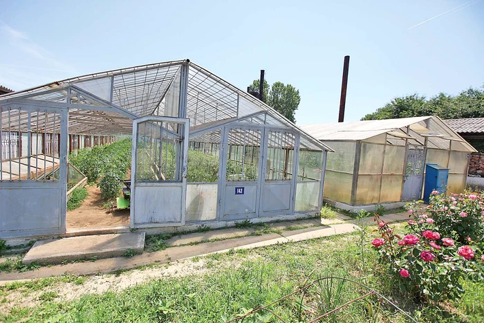 Unii puşcăriaşi muncesc la serele penitenciarului