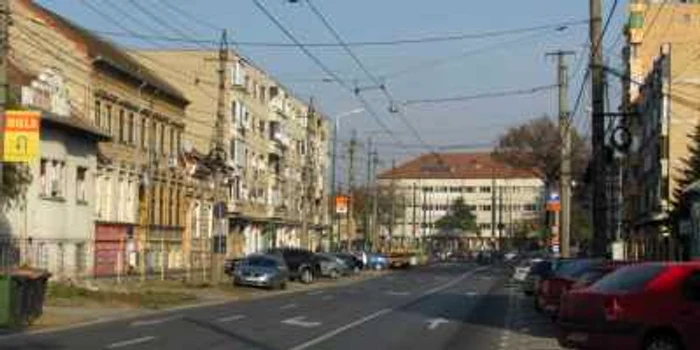 Nu a mai rămas niciun copac pe o porţiune de pe strada Ciprian Porumbescu