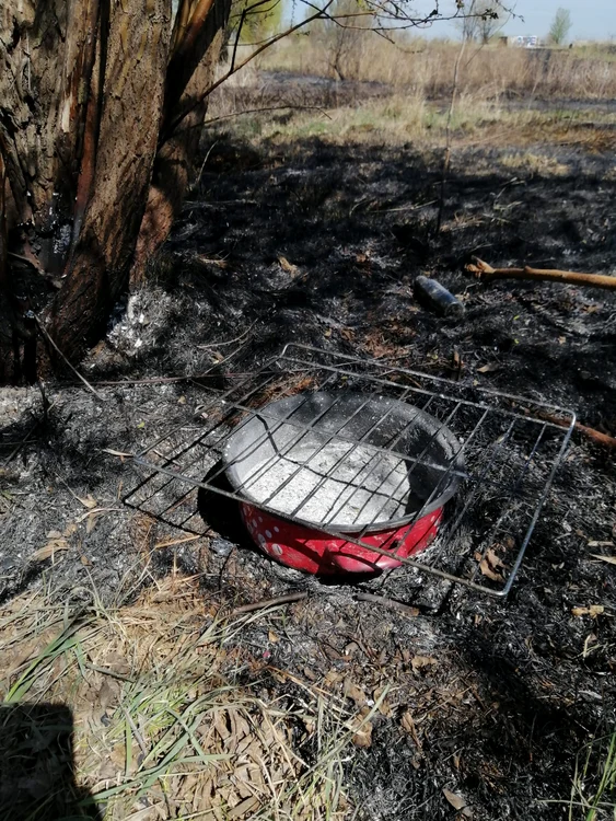 Un grătar nesupravegheat, o posibilă cauză a incendiului din Delta Văcărești