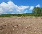 Terenul viran pe care va fi construita fabrica Foto Daniel Guță (2) jpg