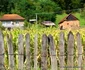 Ținutul Pădurenilor, Cerbăl Foto Daniel Guță (2) JPG