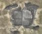 Trei complexe funerare preistorice, descoperite în județul (© Iași Palatul Culturii din Iași - Complexul Muzeal Național „Moldova")