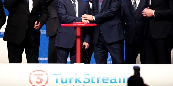 Recep Tayyip Erdogan Vladimir Putin Aleksandar Vucic Boyko Borissov la ceremonia de inaugurare a Proiectului Turkstream Turkstream în Istanbul foto epa efe