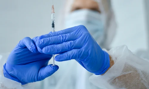 shutterstock 2118517682 jpg