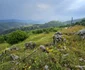 Privelisti de pe Transalpina Pădurenilor Foto Daniel Guță (4) jpg