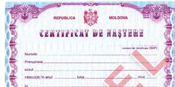 certificat model
