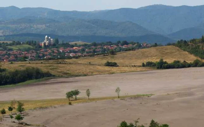 Un deşert acoperă mai multe hectare de teren de la marginea Hunedoarei. D.G