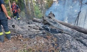 incendiu muntii tibles jpg