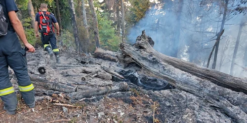 incendiu muntii tibles jpg