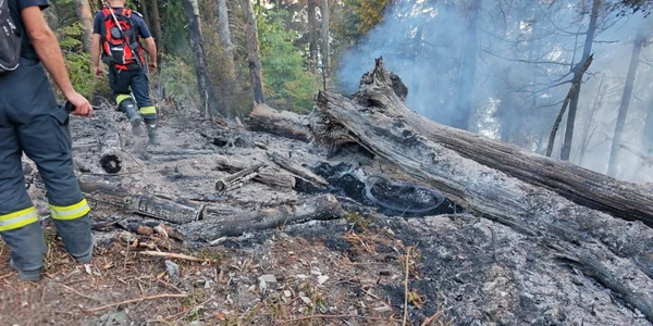 incendiu muntii tibles jpg