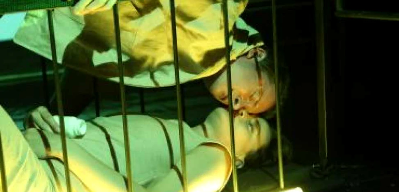 Braşov: Începe stagiunea de teatru