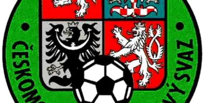 FOTBAL: Un fotbalist amator ceh a murit după ce a înscris un autogol