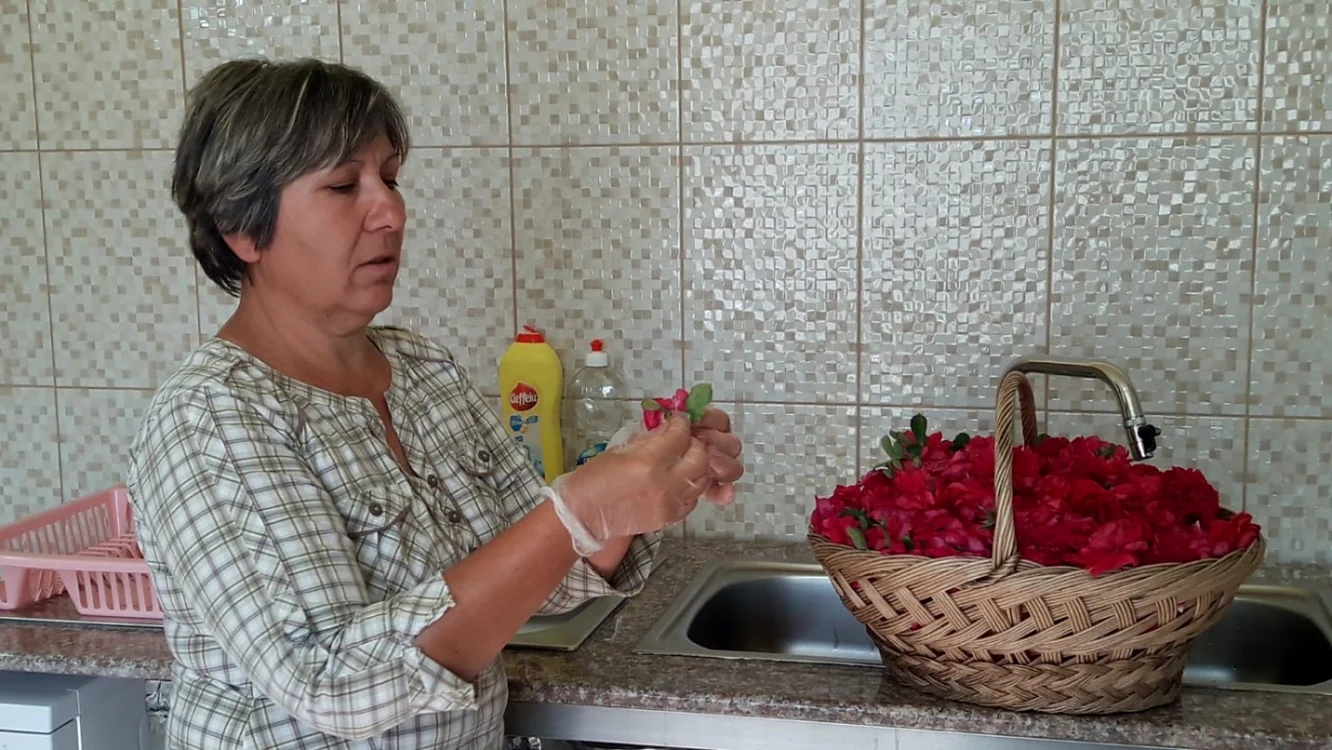 afacerea cu trandafiri slatina