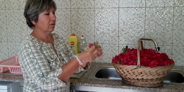 afacerea cu trandafiri slatina